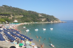 Cavoli