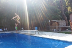 Il tuffo da medaglia d'oro