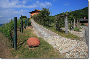 podere valloni