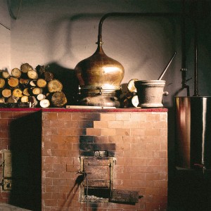 alambicco gin bordiga