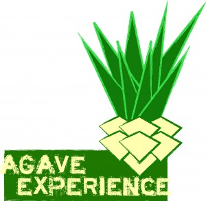 L'agave experience 2015