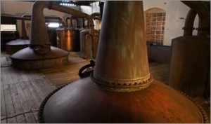 Il Pot Still