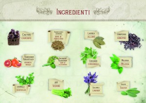 Le botaniche del VII Hills