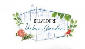 Belvedere Urban Garden