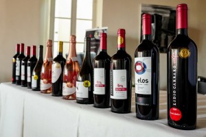 I vini Lidio Carraro