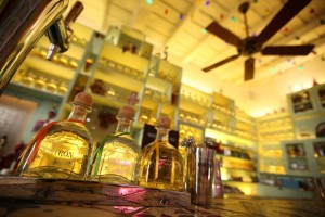Tequila Patrón The Perfectionists