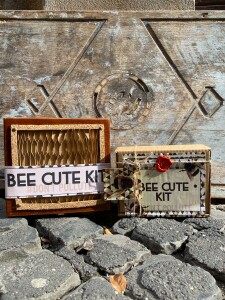 Bee Cute Kit2
